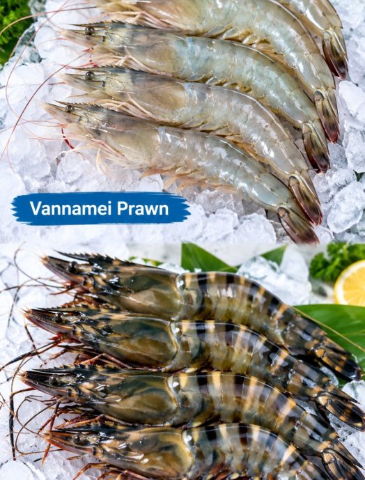 vannamei vs black tiger prawns import from sri lanka